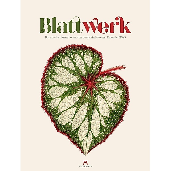 Blattwerk - Botanische Illustrationen Kalender 2025, Benjamin Fawcett, Ackermann Kunstverlag