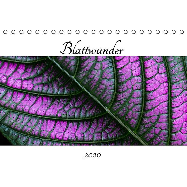 Blattwunder (Tischkalender 2020 DIN A5 quer), Dagmar Otte