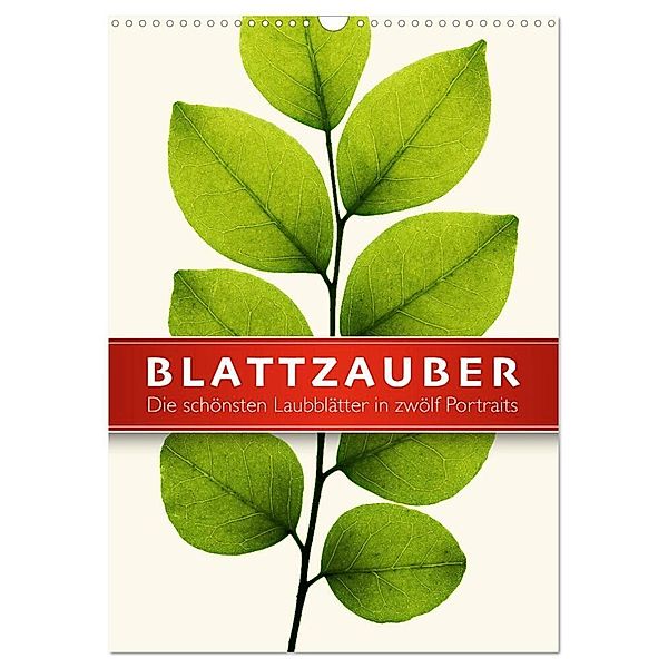 Blattzauber (Wandkalender 2025 DIN A3 hoch), CALVENDO Monatskalender, Calvendo, Wildlife Art Print