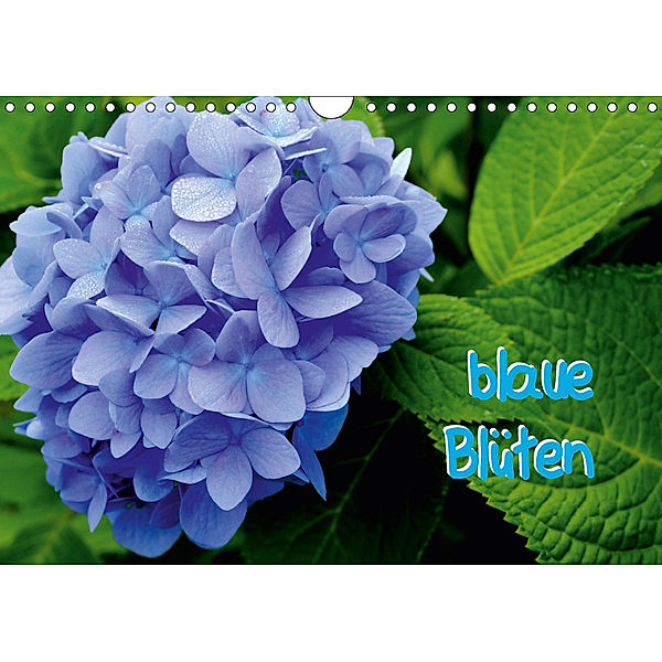 blaue Blüten (Wandkalender 2019 DIN A4 quer), tinadefortunata