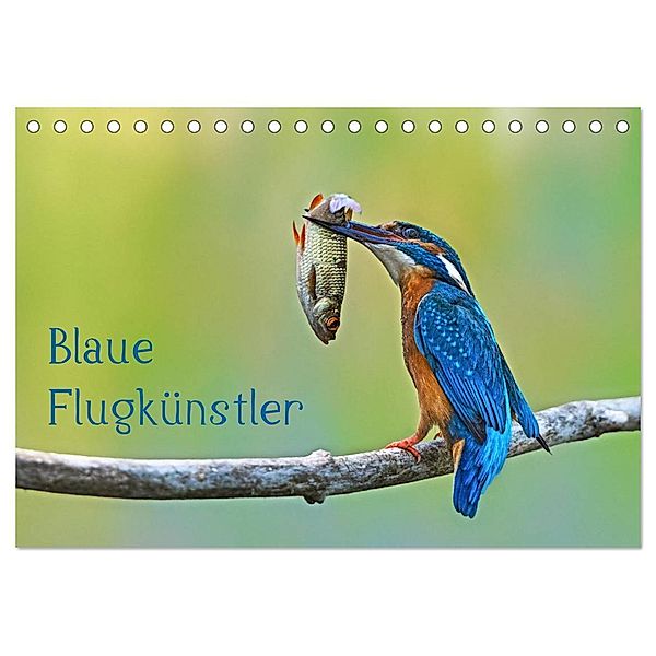 Blaue Flugkünstler (Tischkalender 2024 DIN A5 quer), CALVENDO Monatskalender, Dorothea Oldani