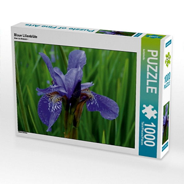 Blaue Lilienblüte (Puzzle), Kattobello