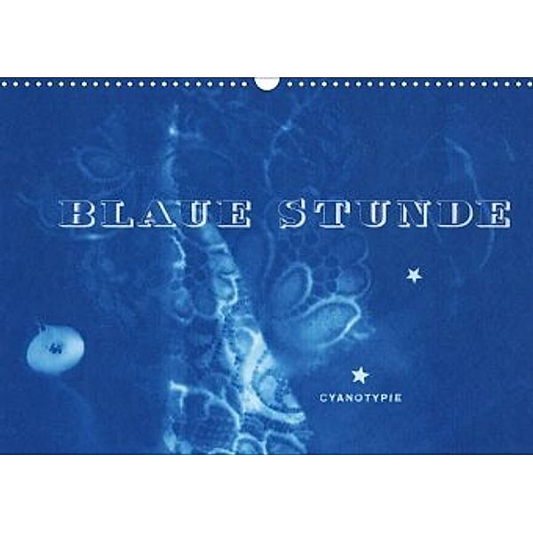 Blaue Stunde - Cyanotypie (Wandkalender 2020 DIN A3 quer), Inka Perl