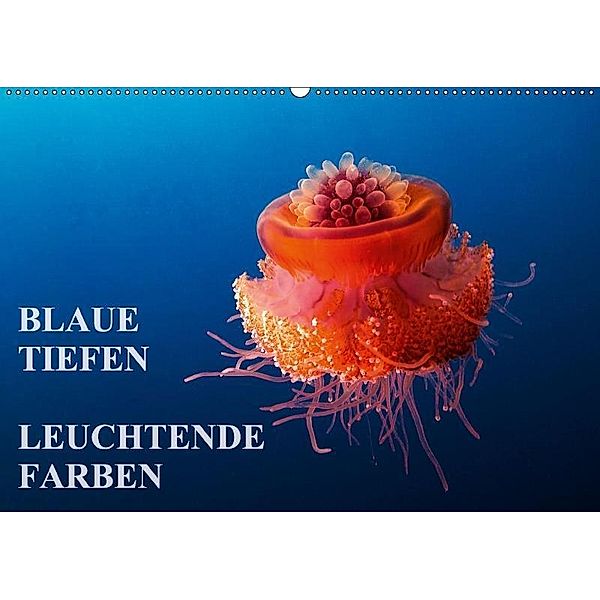 Blaue Tiefen - Leuchtende Farben (Wandkalender 2017 DIN A2 quer), Walter Adler