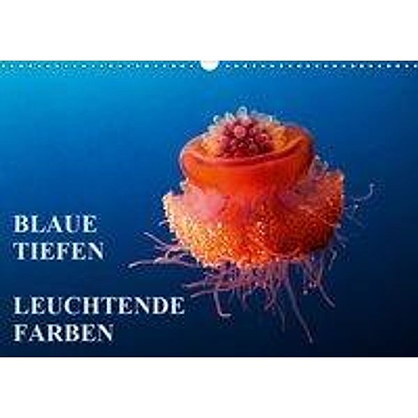 Blaue Tiefen - Leuchtende Farben (Wandkalender 2019 DIN A3 quer), Walter Adler