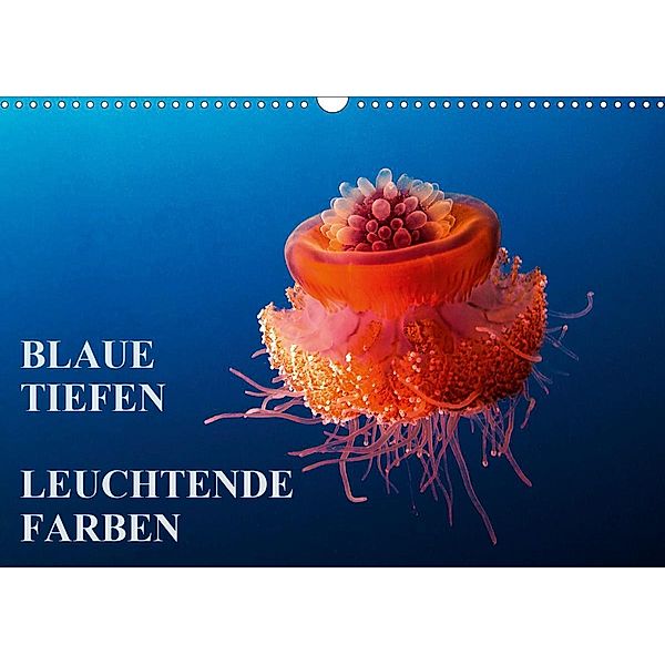 Blaue Tiefen - Leuchtende Farben (Wandkalender 2020 DIN A3 quer), Walter Adler