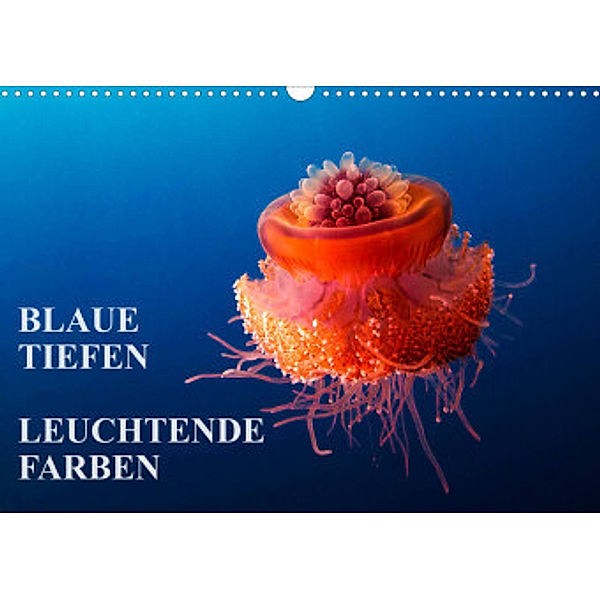 Blaue Tiefen - Leuchtende Farben (Wandkalender 2022 DIN A3 quer), Walter Adler