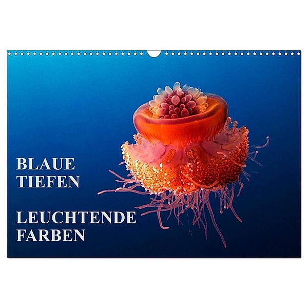 Blaue Tiefen - Leuchtende Farben (Wandkalender 2024 DIN A3 quer), CALVENDO Monatskalender, Walter Adler