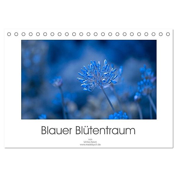 Blauer Blütentraum (Tischkalender 2024 DIN A5 quer), CALVENDO Monatskalender, Ulrike Adam