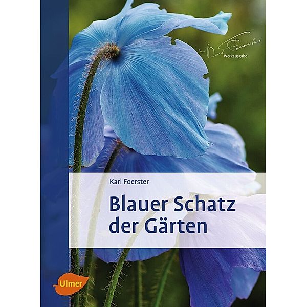 Blauer Schatz der Gärten, Karl Foerster, Norbert Kühn