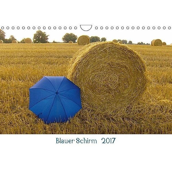 Blauer Schirm 2017 (Wandkalender 2017 DIN A4 quer), Edition Blauer Schirm