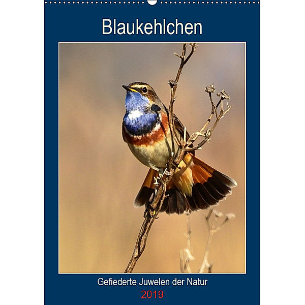 Blaukehlchen. Gefiederte Juwelen der Natur. (Wandkalender 2019 DIN A2 hoch), René Schaack