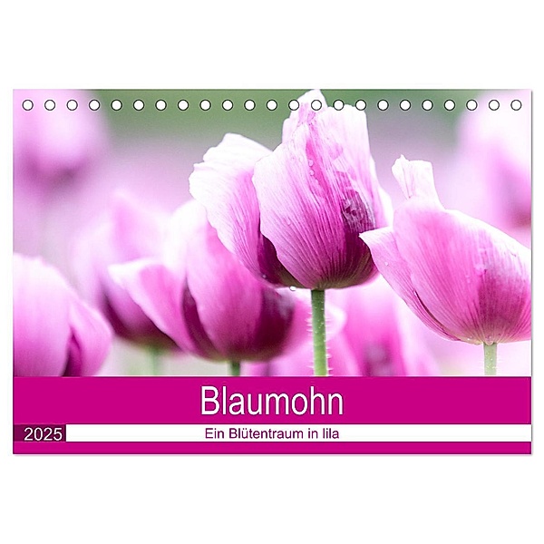 Blaumohn - Ein Blütentraum in lila (Tischkalender 2025 DIN A5 quer), CALVENDO Monatskalender, Calvendo, Fotodesign Verena Scholze