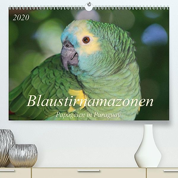Blaustirnamazonen - Papageien in Paraguay (Premium-Kalender 2020 DIN A2 quer), Bettina Schneider