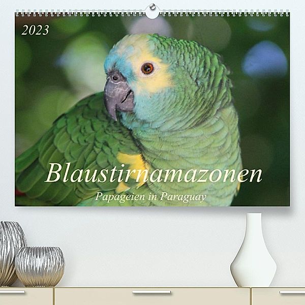 Blaustirnamazonen - Papageien in Paraguay (Premium, hochwertiger DIN A2 Wandkalender 2023, Kunstdruck in Hochglanz), Bettina Schneider