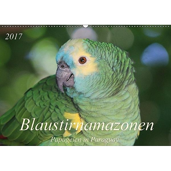 Blaustirnamazonen - Papageien in Paraguay (Wandkalender 2017 DIN A2 quer), Bettina Schneider