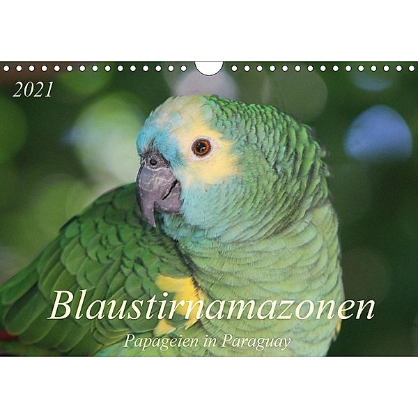 Blaustirnamazonen - Papageien in Paraguay (Wandkalender 2021 DIN A4 quer), Bettina Schneider