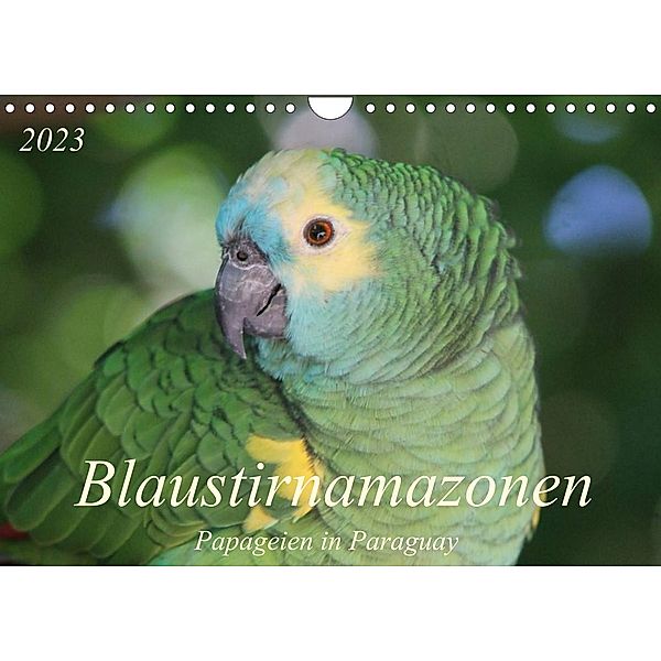 Blaustirnamazonen - Papageien in Paraguay (Wandkalender 2023 DIN A4 quer), Bettina Schneider