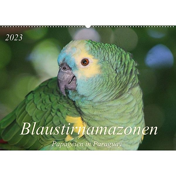 Blaustirnamazonen - Papageien in Paraguay (Wandkalender 2023 DIN A2 quer), Bettina Schneider