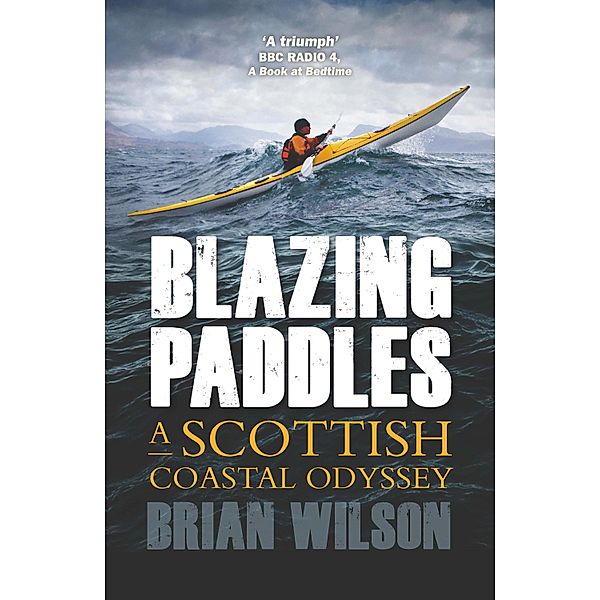 Blazing Paddles, Brian Wilson