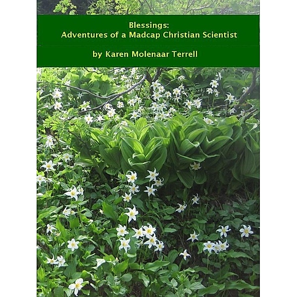 Blessings: Adventures of a Madcap Christian Scientist, Karen Molenaar Terrell