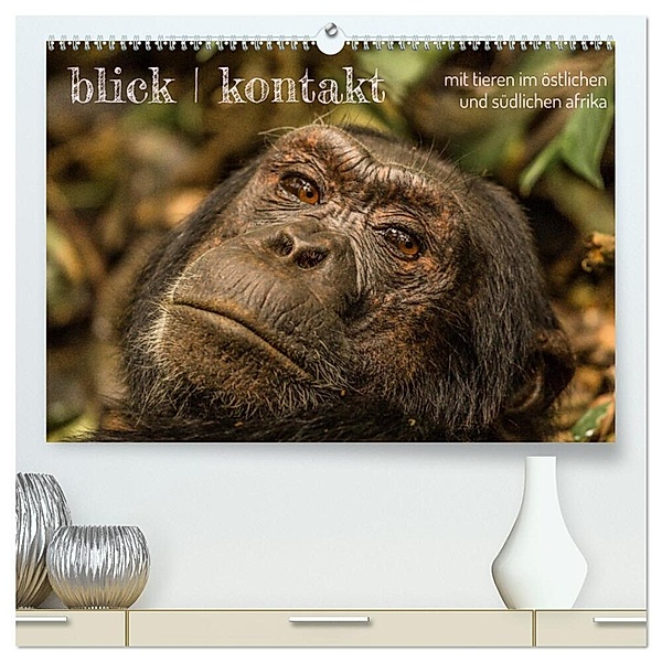 blick kontakt mit tieren im östlichen und südlichen afrika (hochwertiger Premium Wandkalender 2024 DIN A2 quer), Kunstdruck in Hochglanz, rsiemer