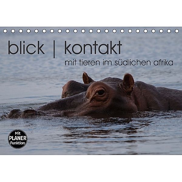 blick kontakt mit tieren im südlichen afrika (Tischkalender immerwährend DIN A5 quer), rsiemer