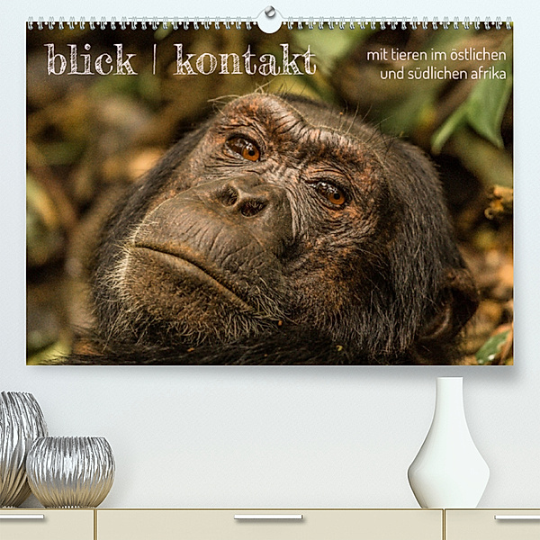 blick kontakt mit tieren im südlichen afrika (Premium, hochwertiger DIN A2 Wandkalender 2023, Kunstdruck in Hochglanz), rsiemer