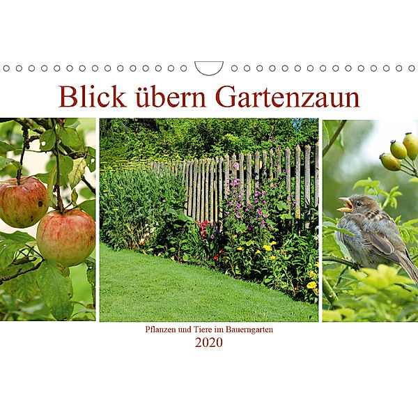 Blick übern Gartenzaun (Wandkalender 2020 DIN A4 quer), Monika Lutzenberger