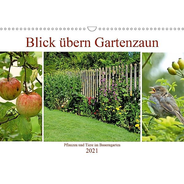 Blick übern Gartenzaun (Wandkalender 2021 DIN A3 quer), Monika Lutzenberger