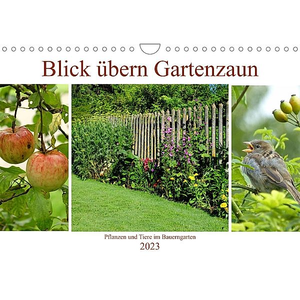 Blick übern Gartenzaun (Wandkalender 2023 DIN A4 quer), Monika Lutzenberger