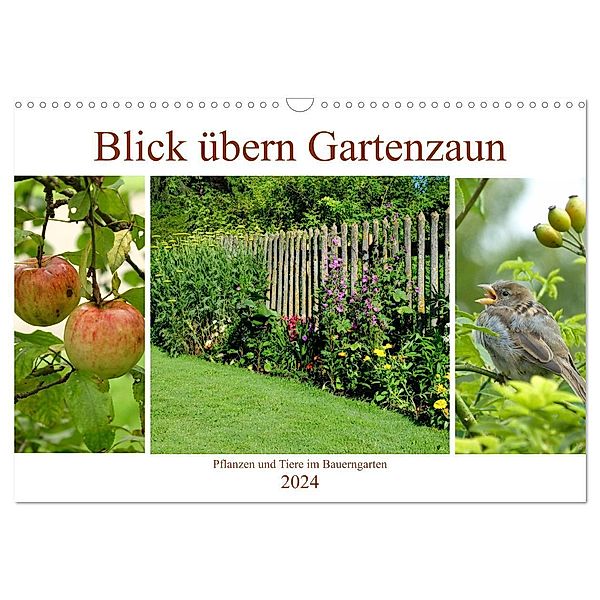Blick übern Gartenzaun (Wandkalender 2024 DIN A3 quer), CALVENDO Monatskalender, Monika Lutzenberger