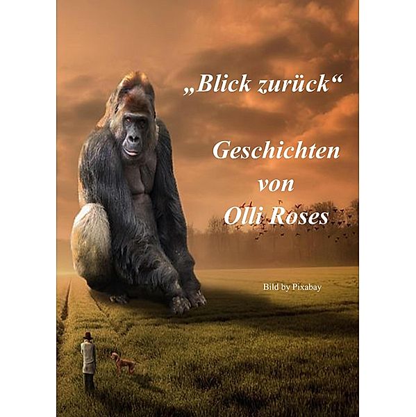 Blick zurück, Olli Roses