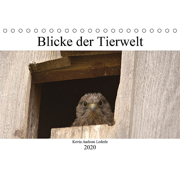 Blicke der Tierwelt (Tischkalender 2020 DIN A5 quer), Kevin Andreas Lederle