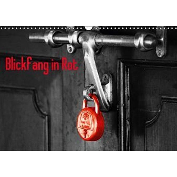 Blickfang in Rot (Wandkalender 2015 DIN A3 quer), Angelika Kimmig