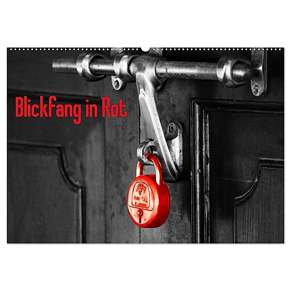 Blickfang in Rot (Wandkalender 2024 DIN A2 quer), CALVENDO Monatskalender, Angelika Kimmig