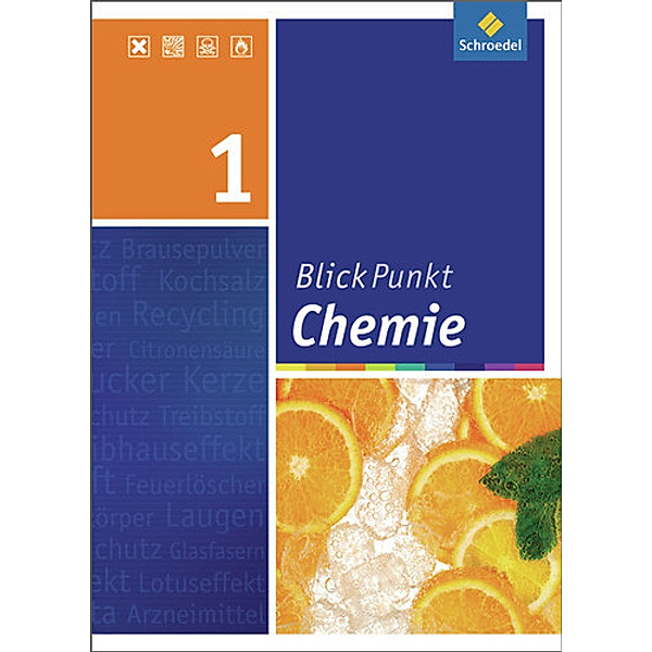 Blickpunkt Chemie, Ausgabe 2007, Realschule Niedersachsen: Bd.1 Blickpunkt Chemie - Ausgabe 2008 für Realschulen in Niedersachsen