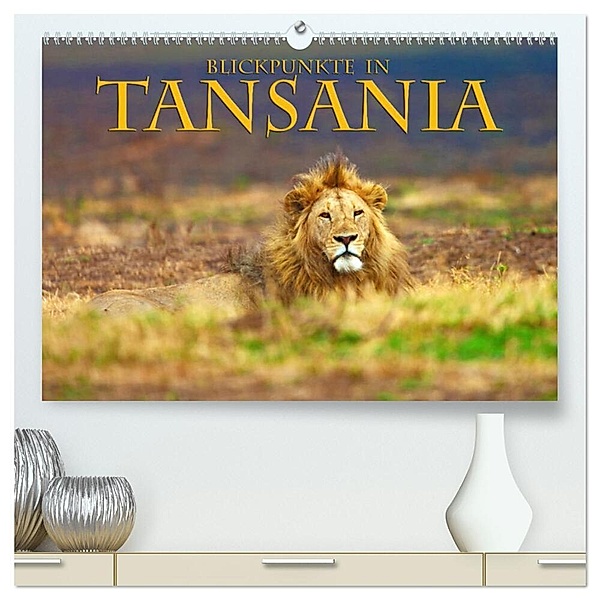 Blickpunkte Tansanias (hochwertiger Premium Wandkalender 2024 DIN A2 quer), Kunstdruck in Hochglanz, Stefan Schütter