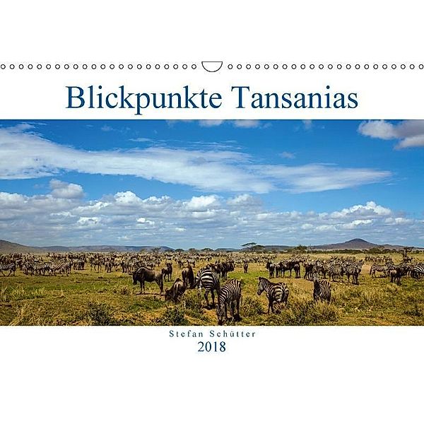 Blickpunkte Tansanias (Wandkalender 2018 DIN A3 quer), Stefan Schütter