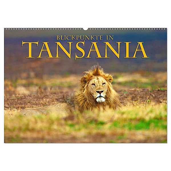 Blickpunkte Tansanias (Wandkalender 2024 DIN A2 quer), CALVENDO Monatskalender, Stefan Schütter