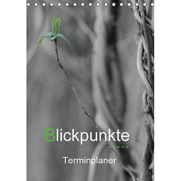 Blickpunkte / Terminplaner (Tischkalender 2016 DIN A5 hoch), Gudrun Nitzold-Briele