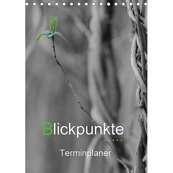 Blickpunkte / Terminplaner (Tischkalender 2018 DIN A5 hoch), Gudrun Nitzold-Briele