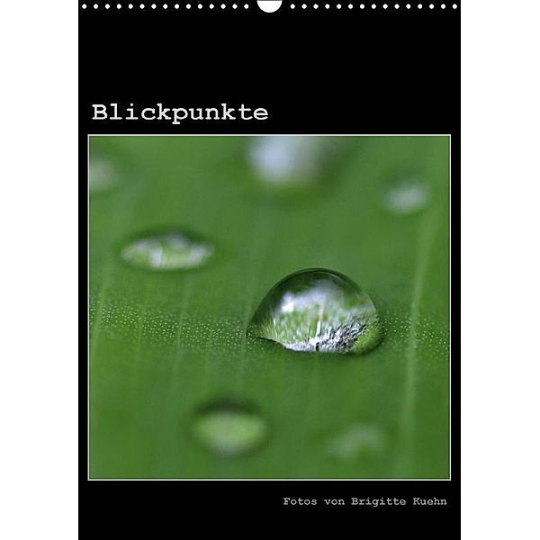 Blickpunkte (Wandkalender 2017 DIN A3 hoch), Brigitte Kuehn