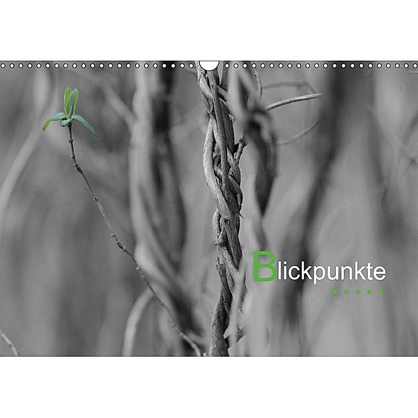 Blickpunkte (Wandkalender 2018 DIN A3 quer), Gudrun Nitzold-Briele