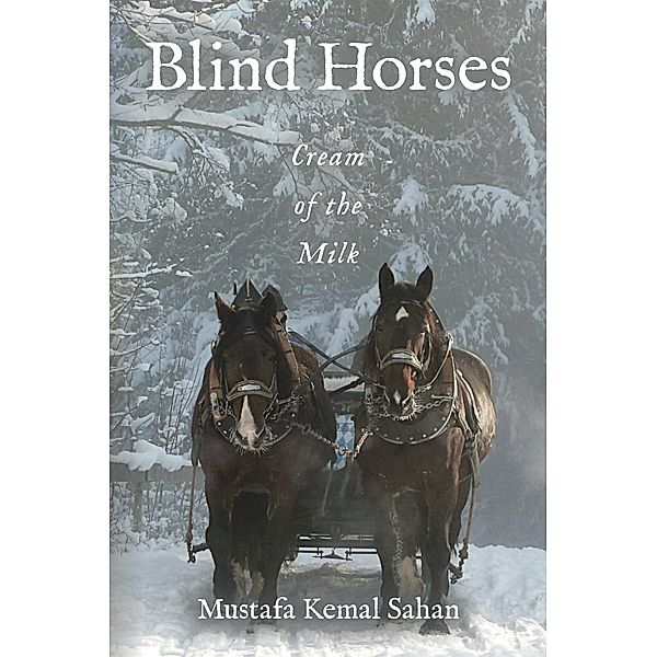 Blind Horses, Mustafa Kemal Sahan