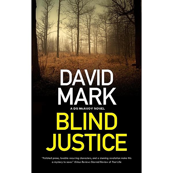 Blind Justice / A DS McAvoy novel Bd.10, David Mark