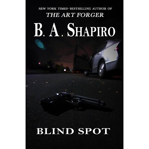Blind Spot, B. A. Shapiro