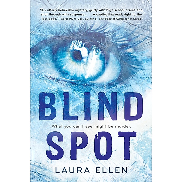 Blind Spot / Clarion Books, Laura Ellen