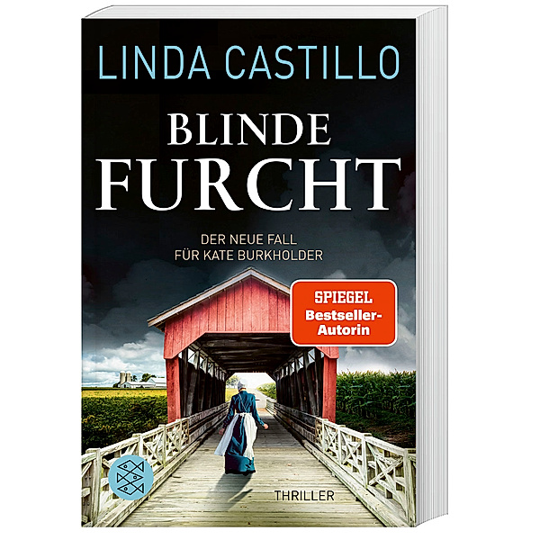 Blinde Furcht / Kate Burkholder Bd.13, Linda Castillo