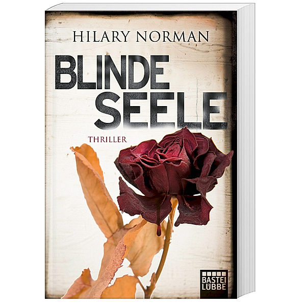 Blinde Seele / Sam Becket Bd.6, Hilary Norman